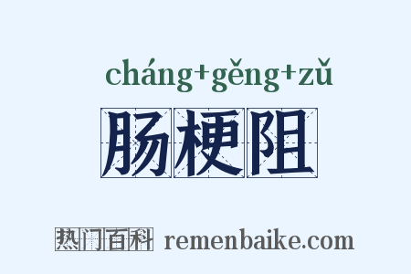 肠梗阻是什么意思的图片